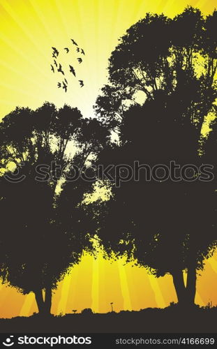 vector background