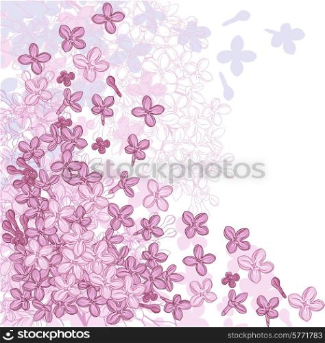 Vector background design with flowers of lilac.. Vector background design with flowers of lilac