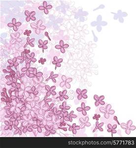 Vector background design with flowers of lilac.. Vector background design with flowers of lilac