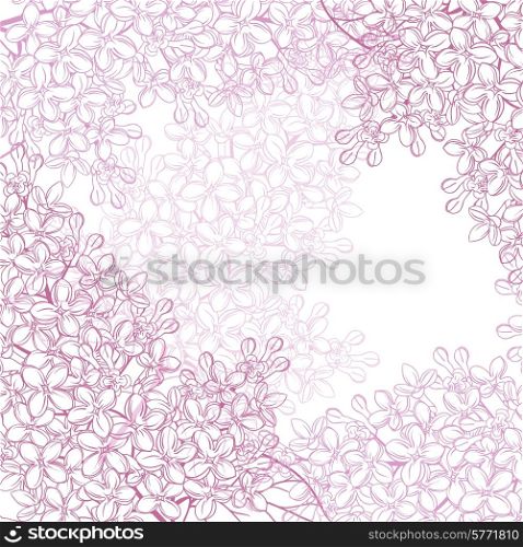 Vector background for design with flowers of lilac.. Vector background for design with flowers of lilac