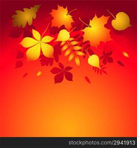 Vector background with autumn leaves.