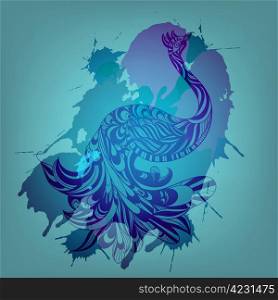 vector background with blue peacock and grungy splashes