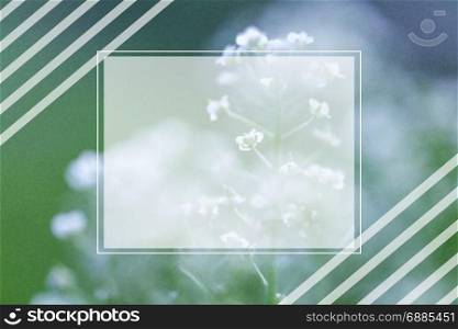 vector background with Flower .. The soft blurred of gerbera flowers with soft bokeh in pastel tone for background.