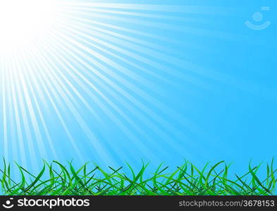 ""Vector background with grass; clip-art""