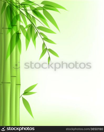 Vector background with green bamboo