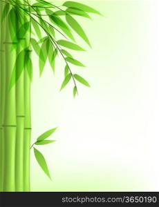 Vector background with green bamboo