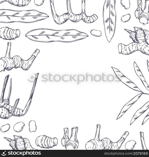 Vector background with hand drawn Alpinia galanga. Galangal, root, leaves.