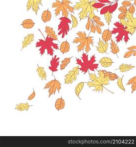 Vector background with hand drawn autumn leaves. Sketch illustration. Vector background with autumn leaves