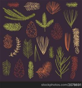 Vector background with hand drawn branches and cones of coniferous trees. Christmas plants. . Christmas plants set.