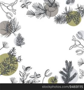 Vector background with hand-drawn branches and cones of coniferous trees. Christmas plants. . Vector background with Christmas plants. 