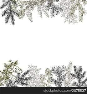Vector background with hand drawn branches and cones of coniferous trees. Christmas plants. . Christmas plants. Vector background