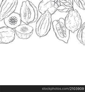 Vector background with hand drawn citron. Sketch illustration. Vector background with citron
