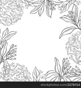 Vector background with hand drawn clove. The pods and flowers. Sketch illustration.. Hand drawn clove. Vector background.
