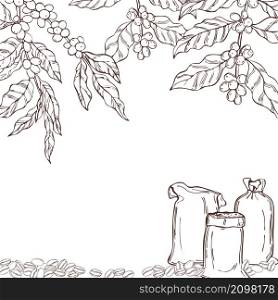 Vector background with hand drawn coffee plants and beans. Sketch illustration.. Background with coffee plants and beans.