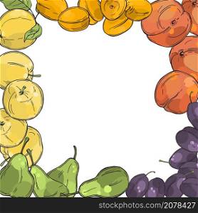Vector background with hand drawn fruits. Peaches, apricots, apples, pears and plums. Sketch illustration.Sketch illustration.. Hand drawn fruits. Vector sketch illustration.