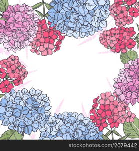 Vector background with hand drawn garden flowers. Hydrangeas and phloxes.