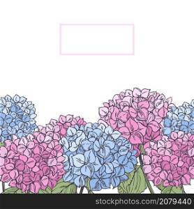 Vector background with hand drawn garden flowers. Pink and blue hydrangea.