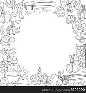 Vector background with hand drawn garlic. Sketch illustration. Vector background with garlic.