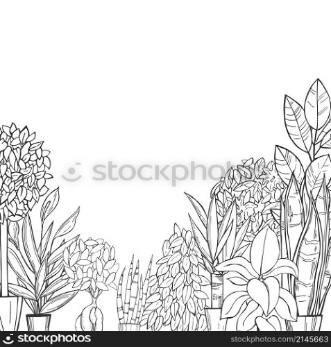Vector background with hand drawn houseplants. Sketch illustration.. Hand drawn houseplants. Vector sketch illustration.