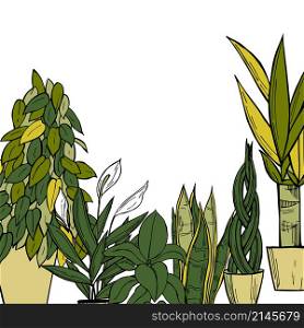 Vector background with hand drawn houseplants. Sketch illustration.. Hand drawn houseplants. Vector sketch illustration.
