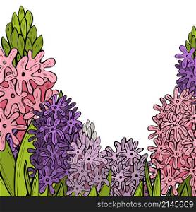 Vector background with hand drawn hyacinths. Spring flowers. Sketch illustration.. hand drawn hyacinths. Spring flowers.