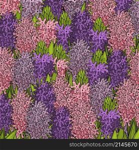 Vector background with hand drawn hyacinths. Spring flowers. Sketch illustration.. hand drawn hyacinths. Spring flowers.