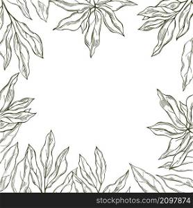 Vector background with hand drawn laurel plant. Sketch illustration. Vector background with laurel plant. Sketch illustration