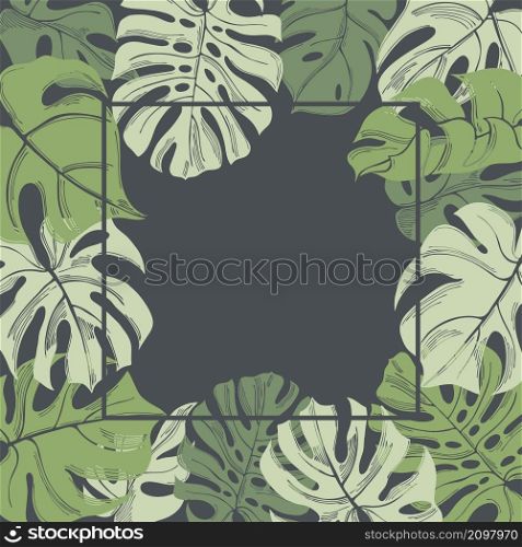 Vector background with hand drawn Monstera leaves . Sketch illustration.. Vector background with hand drawn tropical plants.