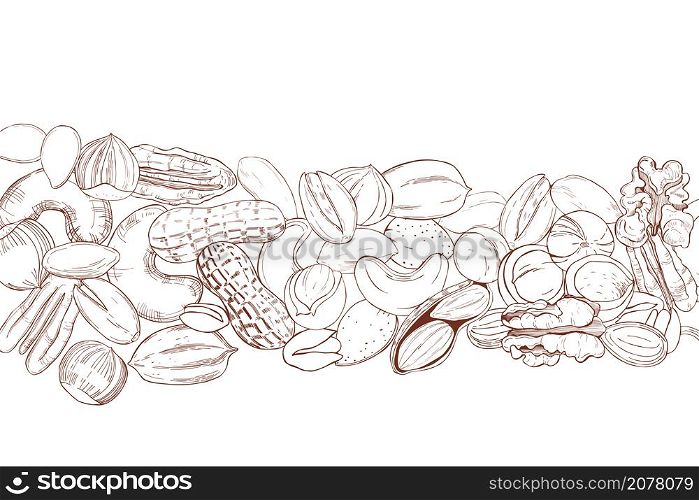 Vector background with hand drawn nuts. Sketch illustration.. Hand drawn nuts. Vector illustration.