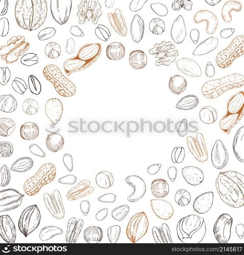 Vector background with hand drawn nuts. Sketch illustration.. Hand drawn nuts. Vector sketch illustration.