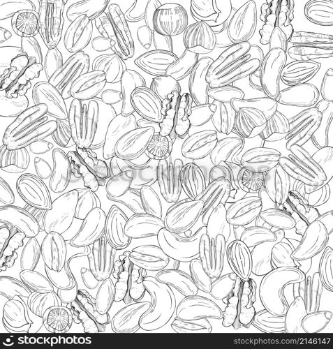 Vector background with hand drawn nuts. Sketch illustration.. Hand drawn nuts. Vector sketch illustration.