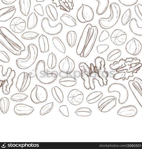 Vector background with hand drawn nuts. Sketch illustration.. Nuts. Vector background.