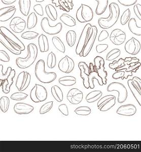 Vector background with hand drawn nuts. Sketch illustration.. Nuts. Vector background.