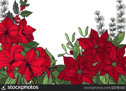 Vector background with hand drawn red Christmas flowers. Poinsettias and amaryllis. Sketch illustration.. Vector background with Christmas flowers .