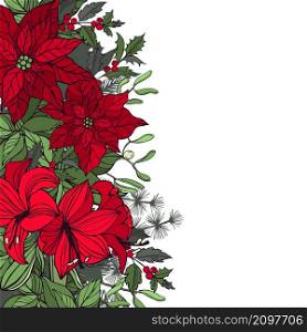 Vector background with hand drawn red poinsettias and Christmas plants. Sketch illustration.. Vector background with Christmas plants .
