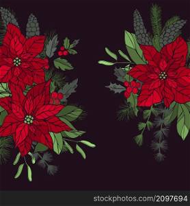 Vector background with hand drawn red poinsettias and Christmas plants. Sketch illustration.. Christmas plants set.