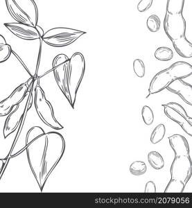 Vector background with hand drawn soybean plant. Sketch illustration.. Vector background with soybean plant.