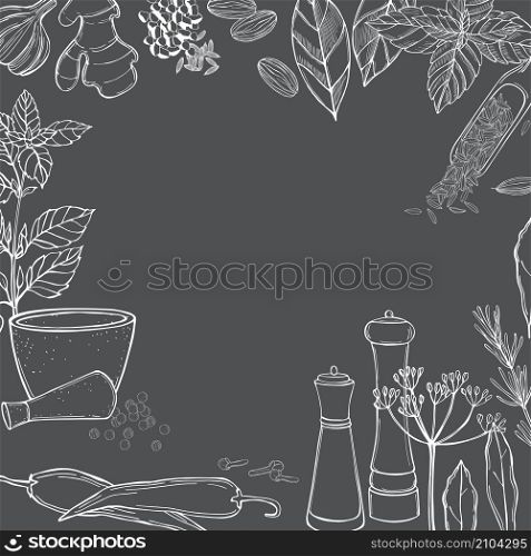 Vector background with hand drawn spices and herbs. Sketch illustration.. Hand drawn spice set. Vector illustration.