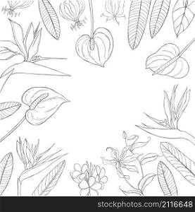 Vector background with hand drawn tropical flowers. Sketch illustration. Hand drawn tropical flowers.