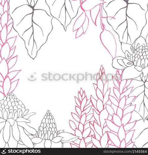 Vector background with hand drawn tropical plants. Leaves and flowers.. Vector frame with hand drawn tropical plants.