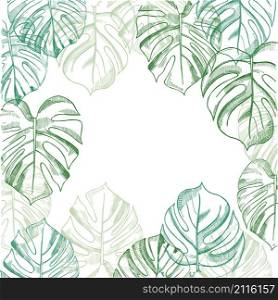 Vector background with hand drawn tropical plants. Monstera plant.. Vector background with hand drawn tropical plants.
