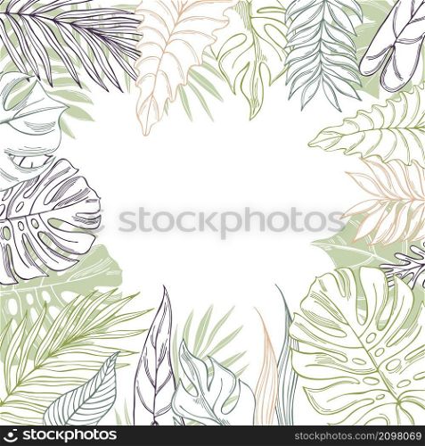 Vector background with hand drawn tropical plants. Palm and monstera leaves.. Vector background with tropical leaves.
