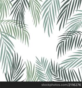 Vector background with hand drawn tropical plants. Palm leaves.
