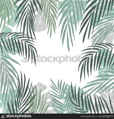 Vector background with hand drawn tropical plants. Palm leaves.