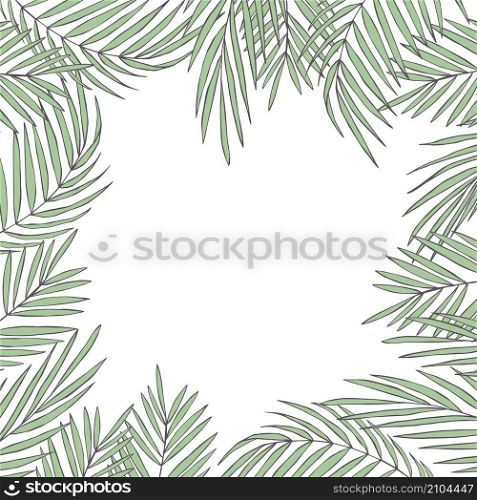 Vector background with hand drawn tropical plants. Palm leaves.. Vector background with palm leaves.