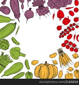 Vector background with hand drawn vegetables. Sketch illustration. . Vector background with hand drawn vegetables. Sketch illustration