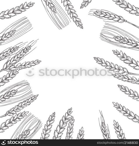 Vector background with hand drawn wheat plants. . Hand drawn wheat Vector illustration
