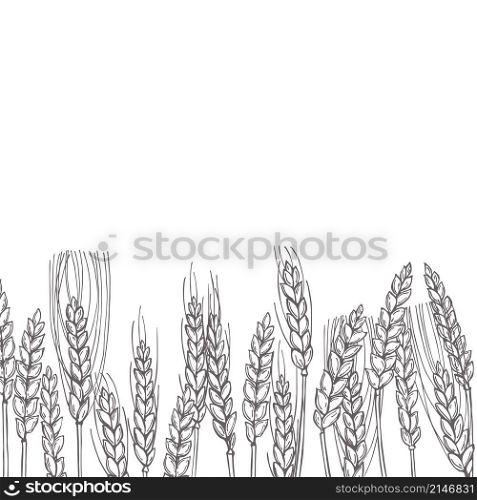 Vector background with hand drawn wheat plants. . Hand drawn wheat Vector illustration