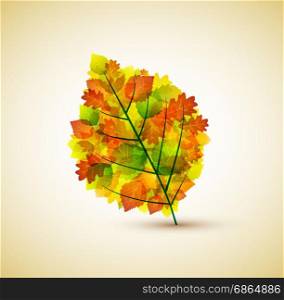 vector background with natural autumn leaf