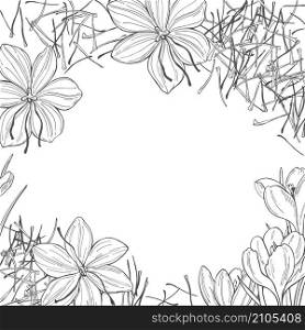 Vector background with saffron spice. Hand drawn sketch illustration. Saffron spice. Hand drawn sketch illustration